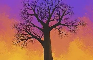 Corel painter 2017
