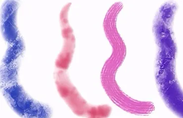 Corel painter 2017