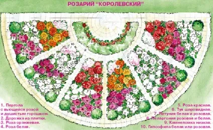 Квітники своїми руками на дачі ідеї, поради, інструкції