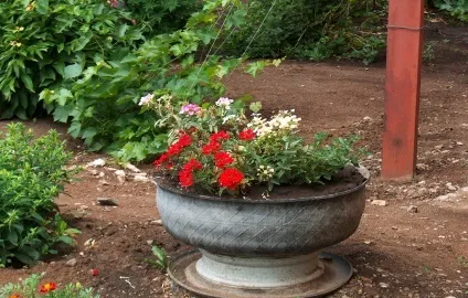 дачні клумби