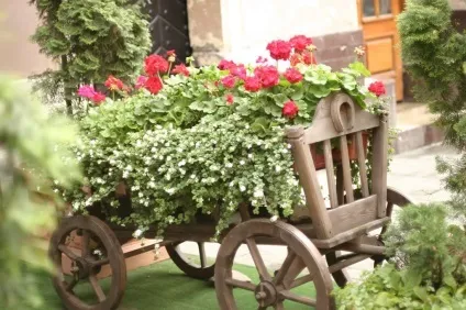 дачні клумби