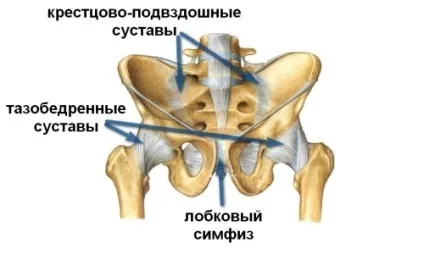 Деформуючий артроз тазостегнового суглоба 1, 2 ступеня причини, симптоми, лікування (тазостегнового) Деформуючий артроз тазостегнового суглоба 1, 2 ступеня причини, симптоми, лікування