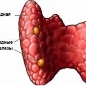 Дифузна або вузлова гіперплазія щитовидної залози 1 ступеня - що це таке (щитовидної) Дифузна або вузлова гіперплазія щитовидної залози 1 ступеня - що це таке