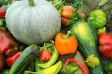 Дієта Світлани ахтаровой відгуки і меню (дієта відгук меню) Дієта Світлани ахтаровой відгуки і меню