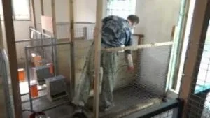 Дезінфекція клітин для кроликів як провести ефективну обробку (обробка клітин для кроликів) Дезінфекція клітин для кроликів як провести ефективну обробку