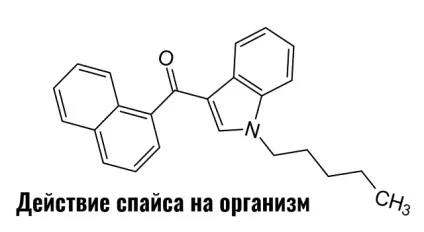 Дія спайса на організм людини (на поведінку, статеву систему і ін (як діє спайс на організм людини) Дія спайса на організм людини (на поведінку, статеву систему і ін