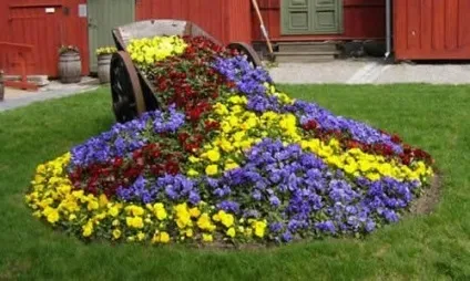 Дизайн квіткових клумб як підібрати рослини (клумб) Дизайн квіткових клумб як підібрати рослини