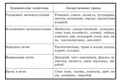 Дієта при захворюванні нирок (захворюванні) Дієта при захворюванні нирок