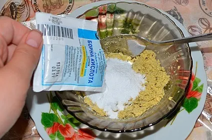 Домашні мурахи - як вивести з квартири
