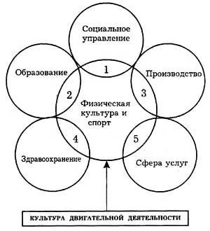 Рухові уміння і навички - фізкультура і спорт (реферат) Рухові уміння і навички - фізкультура і спорт