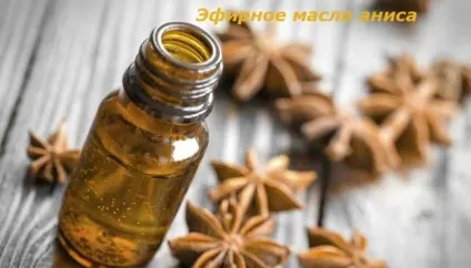 Ефірна олія анісу властивості і застосування, використання в косметології (застосування) Ефірна олія анісу властивості і застосування, використання в косметології