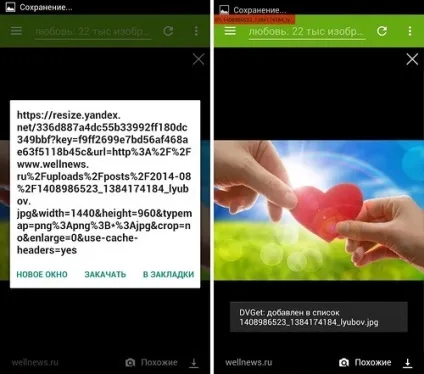 Dvget менеджер закачувань; dvget holo - універсальний менеджер завантаження
