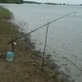Рибальський - пошук слів за маскою та визначенням, відповіді на сканворди маскою