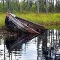 Рибальський - пошук слів за маскою та визначенням, відповіді на сканворди визначенням