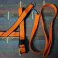 Рибальський - пошук слів за маскою та визначенням, відповіді на сканворди пошук