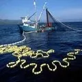 Рибальський - пошук слів за маскою та визначенням, відповіді на сканворди маскою