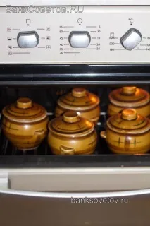 Рецепт з фото - Курячі стегна з картоплею, сиром та грибами у горщиках стегна