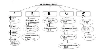 Еріксон про ідентичність - психологія