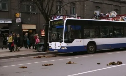 Факти, час розкладання різного побутового сміття - цікаві і пізнавальні факти на (це цікаво) Факти, час розкладання різного побутового сміття - цікаві і пізнавальні факти на