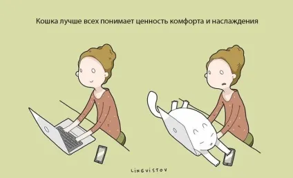 Експерти нарахували 21 перевага життя з котом чи кішкою (кішкою) Експерти нарахували 21 перевага життя з котом чи кішкою