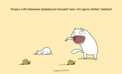 Експерти нарахували 21 перевага життя з котом чи кішкою (життя котом кішкою) Експерти нарахували 21 перевага життя з котом чи кішкою