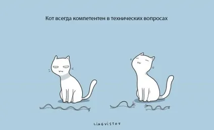 Експерти нарахували 21 перевага життя з котом чи кішкою (перевага життя кішка) Експерти нарахували 21 перевага життя з котом чи кішкою