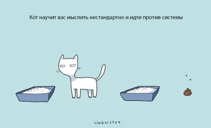 Експерти нарахували 21 перевага життя з котом чи кішкою (21 перевага життя з котом) Експерти нарахували 21 перевага життя з котом чи кішкою
