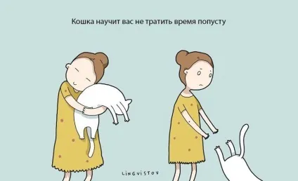 Експерти нарахували 21 перевага життя з котом чи кішкою (життя котом кішкою) Експерти нарахували 21 перевага життя з котом чи кішкою