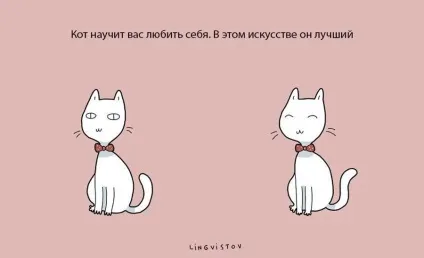 Експерти нарахували 21 перевага життя з котом чи кішкою (перевага) Експерти нарахували 21 перевага життя з котом чи кішкою