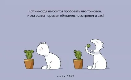 Експерти нарахували 21 перевага життя з котом чи кішкою (кішкою) Експерти нарахували 21 перевага життя з котом чи кішкою