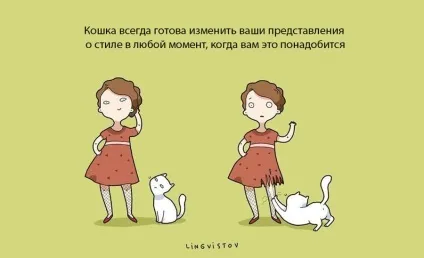 Експерти нарахували 21 перевага життя з котом чи кішкою (життя) Експерти нарахували 21 перевага життя з котом чи кішкою