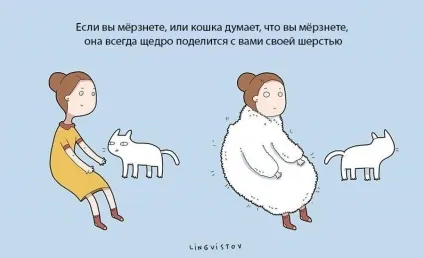 Експерти нарахували 21 перевага життя з котом чи кішкою (21 перевага життя з котом) Експерти нарахували 21 перевага життя з котом чи кішкою