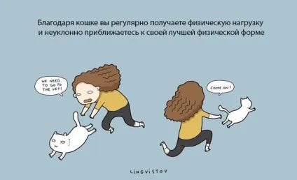 Експерти нарахували 21 перевага життя з котом чи кішкою (кішкою) Експерти нарахували 21 перевага життя з котом чи кішкою