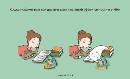 Експерти нарахували 21 перевага життя з котом чи кішкою (21 перевага життя з котом) Експерти нарахували 21 перевага життя з котом чи кішкою