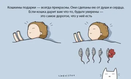 Експерти нарахували 21 перевага життя з котом чи кішкою (21 перевага життя з котом) Експерти нарахували 21 перевага життя з котом чи кішкою