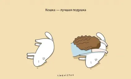 Експерти нарахували 21 перевага життя з котом чи кішкою (21 перевага життя з котом) Експерти нарахували 21 перевага життя з котом чи кішкою