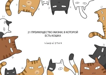 Експерти нарахували 21 перевага життя з котом чи кішкою (кішкою) Експерти нарахували 21 перевага життя з котом чи кішкою