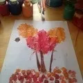 Фізичний розвиток дитини