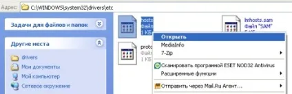 файл hosts