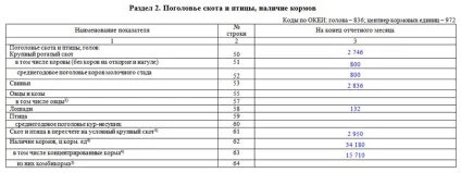 Форма п-1 (сх)