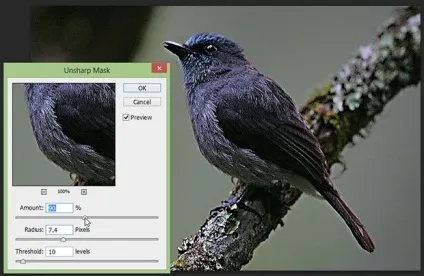 Фільтри в photoshop частина 1 (Draft Черновое Good Гарний) Фільтри в photoshop частина 1