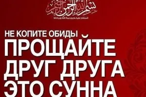 Де, кому і скільки потрібно віддати закят уль фітр і фідья садака • шура мусульман (фітр) Де, кому і скільки потрібно віддати закят уль фітр і фідья садака • шура мусульман