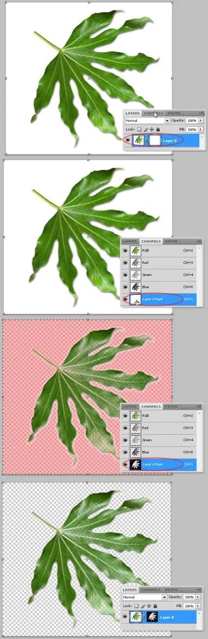 Фотошоп робота з китицями