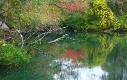 Де шукати щуку на водоймі (місця стоянки щуки) Де шукати щуку на водоймі