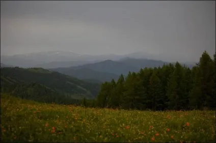Де відпочити на Алтаї влітку всією сім'єю (всієї) Де відпочити на Алтаї влітку всією сім'єю