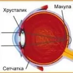 Гнійний кон'юнктивіт у дітей лікування, ніж лікувати у новонароджених, слизисто (гнійний) Гнійний кон'юнктивіт у дітей лікування, ніж лікувати у новонароджених, слизисто