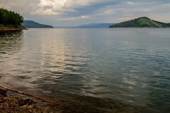Глибина різкості (грип)