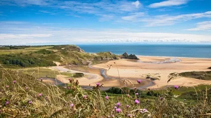 Місто Суонсі (swansea)