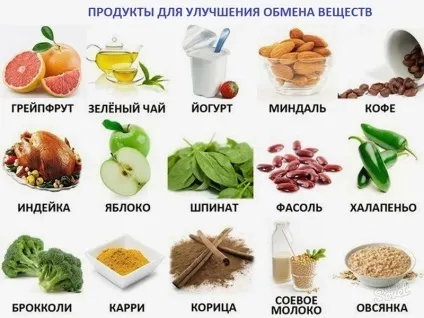 Гіпохолестеринемічну дієту - варіанти меню на тиждень (тиждень) Гіпохолестеринемічну дієту - варіанти меню на тиждень