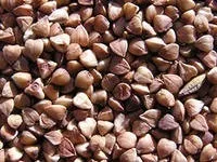 Гречка, лікування гречкою (Народне лікування гречкою) Гречка, лікування гречкою